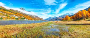 Stunning autumn scene in Swiss Alps and views of Sils Lake (Sils